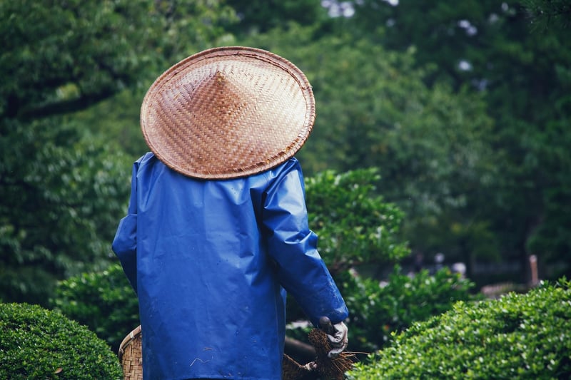 Spring Garden Care