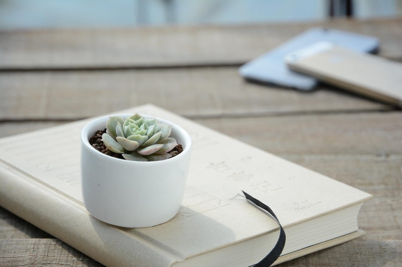 Repurposed Materials Planters